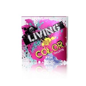 BRAND NEW- Hank & Henry eyeshadow palette